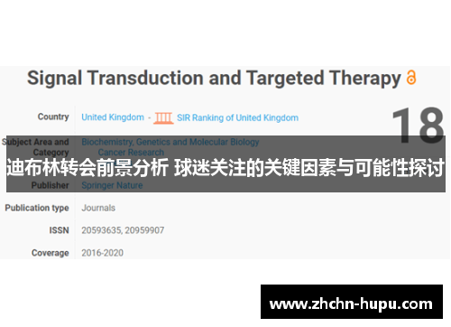 迪布林转会前景分析 球迷关注的关键因素与可能性探讨