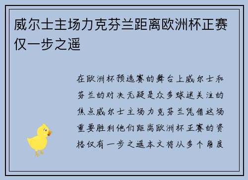 威尔士主场力克芬兰距离欧洲杯正赛仅一步之遥